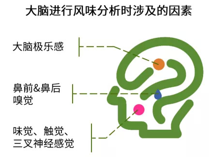 图片来源：伊比西