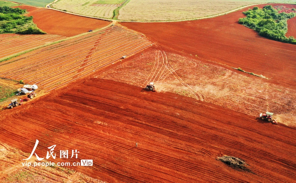 红土地上春耕忙色彩斑斓美如画