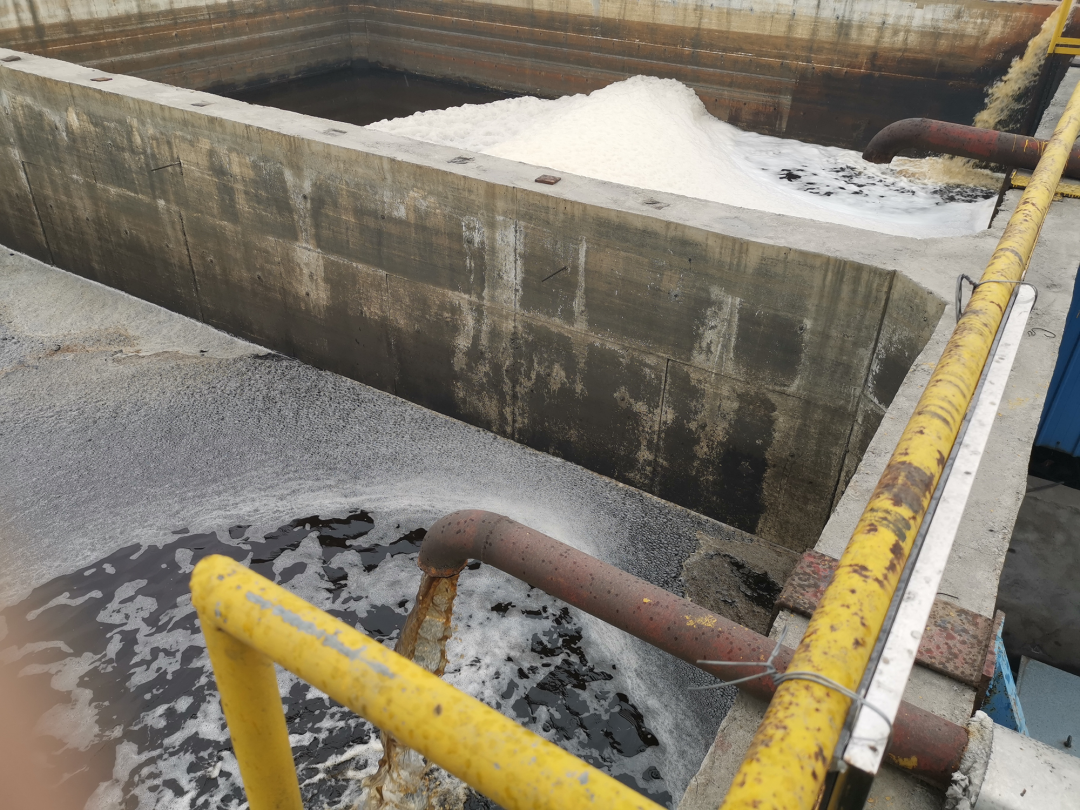 图4 &nbsp;焦化废水处理站出水水质超标严重