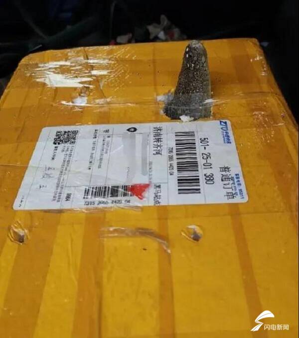 65秒｜德州齐河：民警收到奇怪包裹 打开一看竟是一条泰国鳄休闲区蓝鸢梦想 - Www.slyday.coM