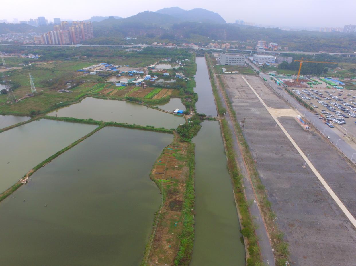 打造生态示范河涌,东里新河涌换新颜|东里|新河|黄阁镇_新浪新闻