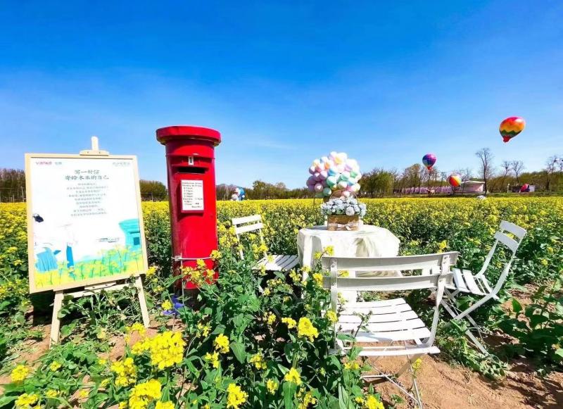 怪村油菜花海吸引游客打卡