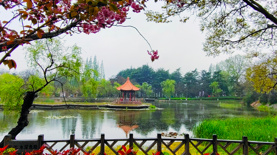 顺成视界雨中的青岛中山公园如梦似幻如诗一般