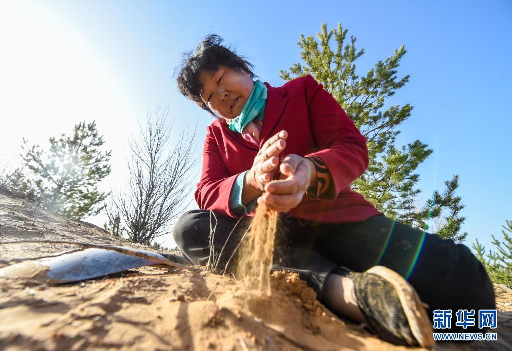新华全媒 |殷玉珍:我要把沙一直治下去!