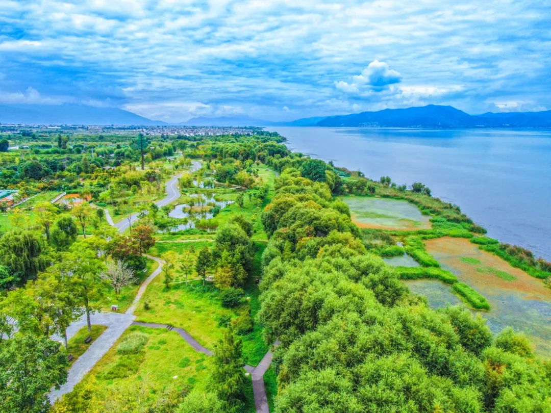 最美高速慢看百里画廊光明日报聚焦云南大丽高速沿线的生态文明