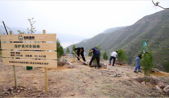 保护母亲河：全国网友“手机种树”6万余棵落地延安