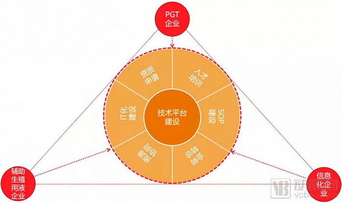 辅助生殖上游企业前向赋能下游企业