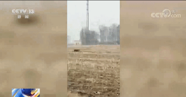 进村伤人的东北虎控制住了！打了四枪麻醉针↘休闲区蓝鸢梦想 - Www.slyday.coM