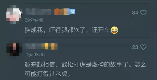 进村伤人的东北虎控制住了！打了四枪麻醉针↘休闲区蓝鸢梦想 - Www.slyday.coM