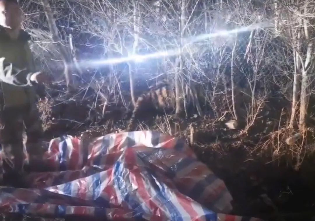 虎咬人口_恐怖!广西发生老虎咬死人事件!人被活活咬死,太可怕了!(2)