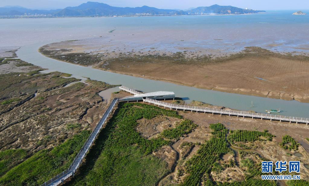 　　这是闽江河口湿地国家级自然保护区（2021年4月20日摄，无人机照片）。新华社记者 魏培全 摄