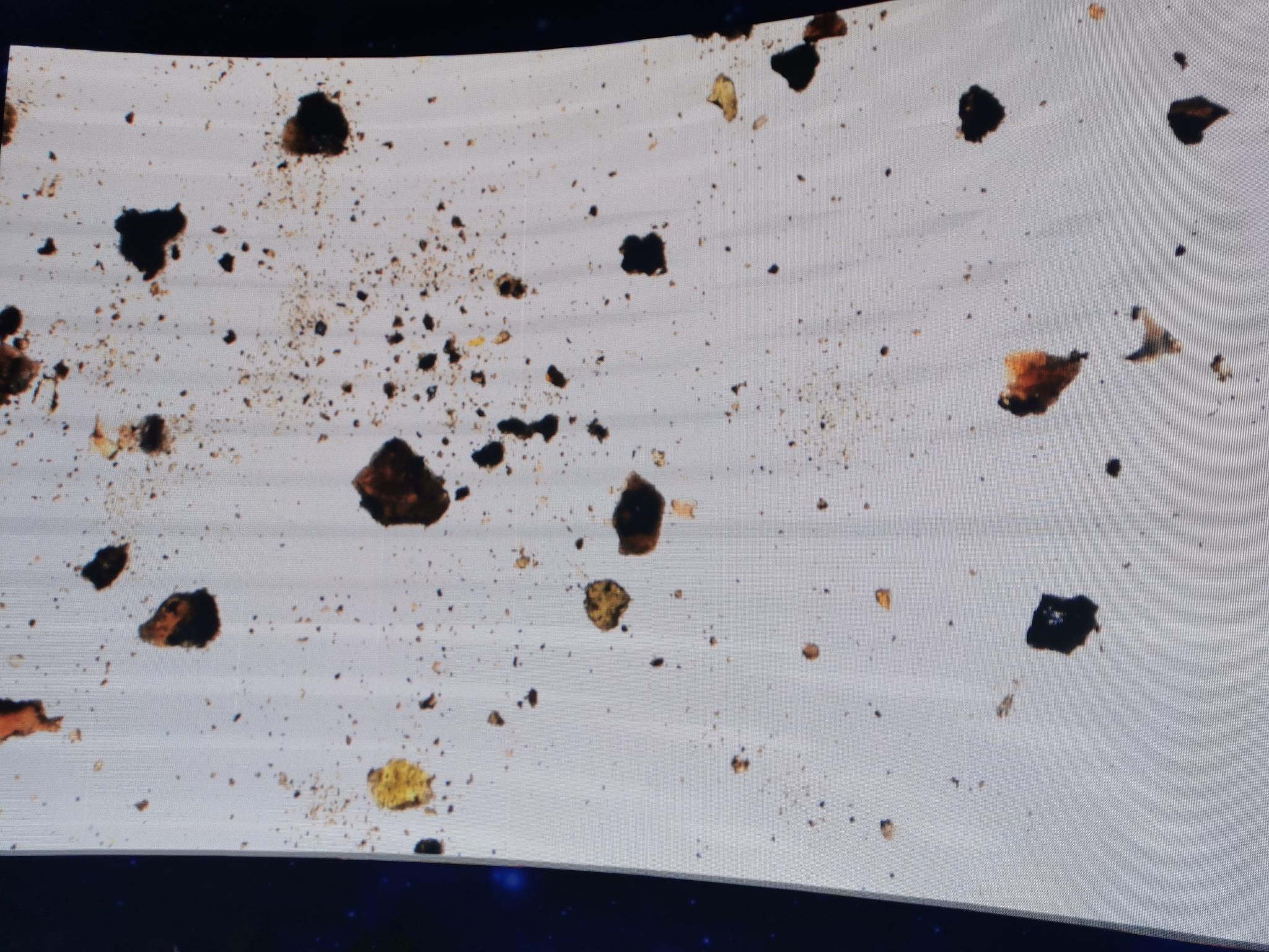 显微镜下放大的月壤样品摄影：澎湃新闻记者谢瑞强