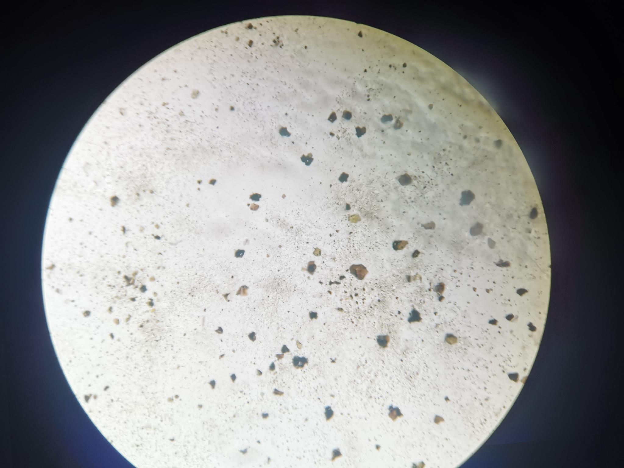 显微镜下放大的月壤样品摄影：澎湃新闻记者谢瑞强