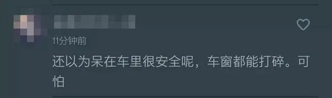 进村伤人的东北虎控制住了！打了四枪麻醉针↘休闲区蓝鸢梦想 - Www.slyday.coM