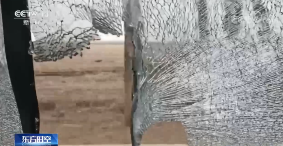 进村伤人的东北虎控制住了！打了四枪麻醉针↘休闲区蓝鸢梦想 - Www.slyday.coM