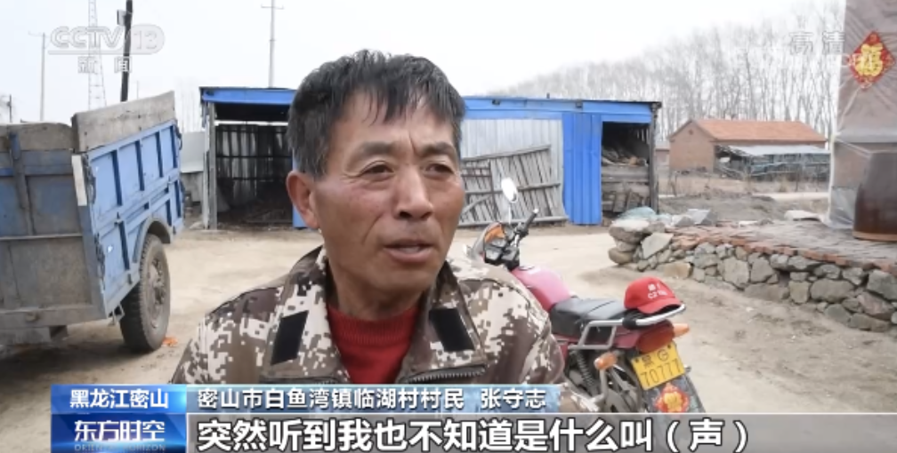 进村伤人的东北虎控制住了！打了四枪麻醉针↘休闲区蓝鸢梦想 - Www.slyday.coM