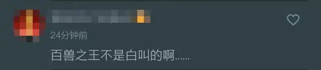 进村伤人的东北虎控制住了！打了四枪麻醉针↘休闲区蓝鸢梦想 - Www.slyday.coM