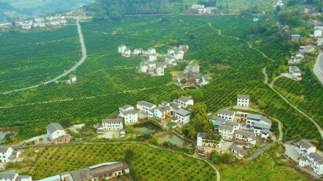 看区县颜值高气质佳万州这个示范区怎么建