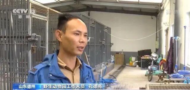 孩子网购“不知名小鱼”，家长懵了：这个快递收不起休闲区蓝鸢梦想 - Www.slyday.coM