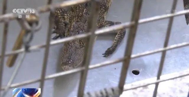 孩子网购“不知名小鱼”，家长懵了：这个快递收不起休闲区蓝鸢梦想 - Www.slyday.coM