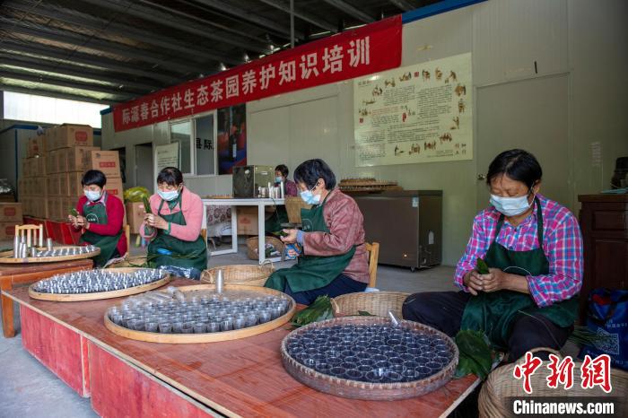 一杯红茶里的乡村振兴——数字经济助力祁门红茶翻越山岭