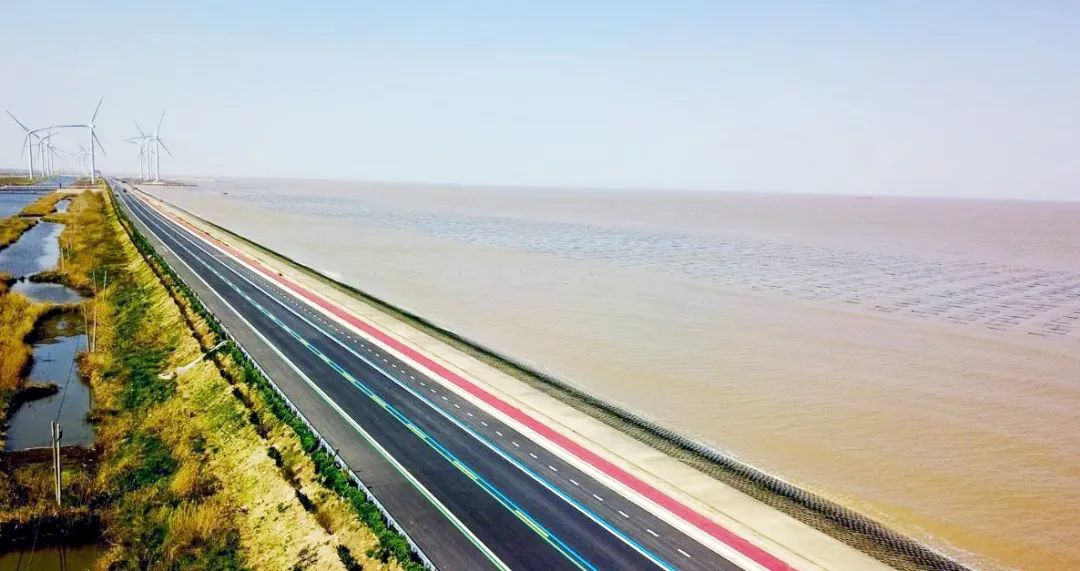 盐城这条"廊道",真美……|公路|好风景|盐城_新浪新闻