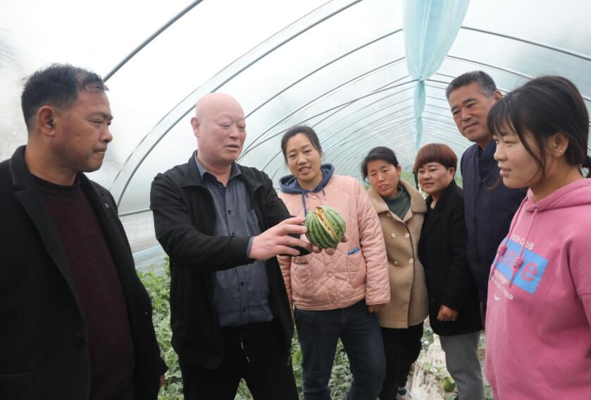 濉溪县双堆集镇我为群众办实事推深做实