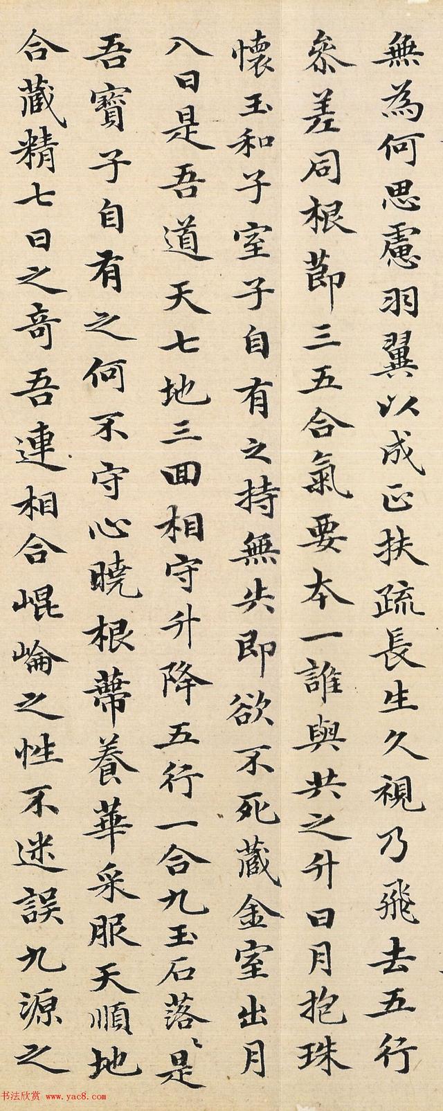 书法家赵孟頫48岁小楷临黄庭经精品毛笔字书法欣赏