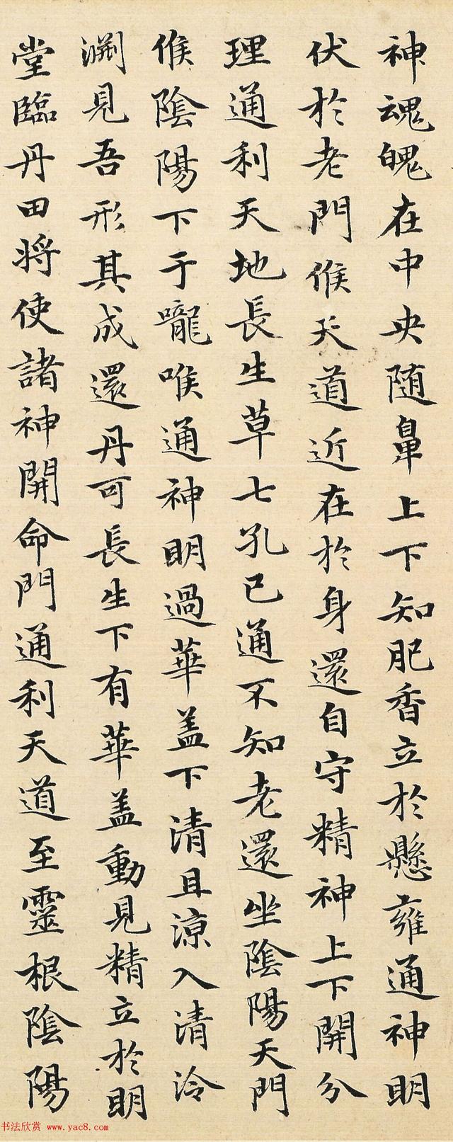 书法家赵孟頫48岁小楷临黄庭经精品毛笔字书法欣赏