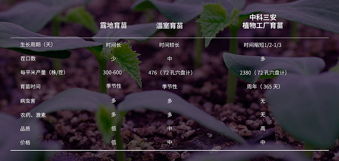 不同育苗方式对比资料来源：中科三安官网