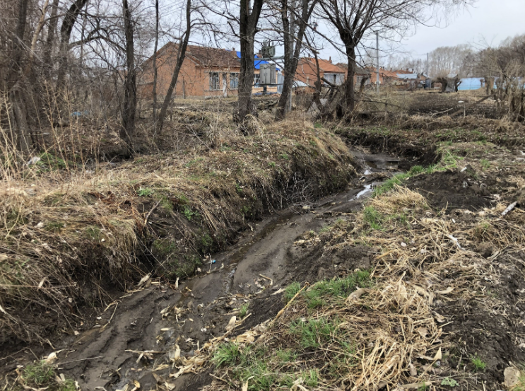 ▲4月23日，老虎曾在一组居民后院的排水沟里卧了两个多小时。新京报记者&nbsp;韩沁珂&nbsp;摄