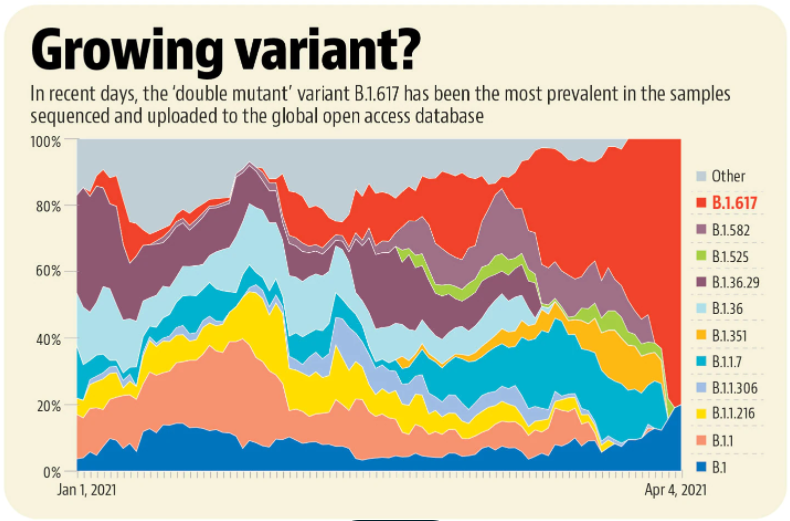 4月1日，在印度发送给全球最大流感及新型冠状病毒数据平台GISAID的所有经过分析的突变体基因组序列中，B.1.617占80%。