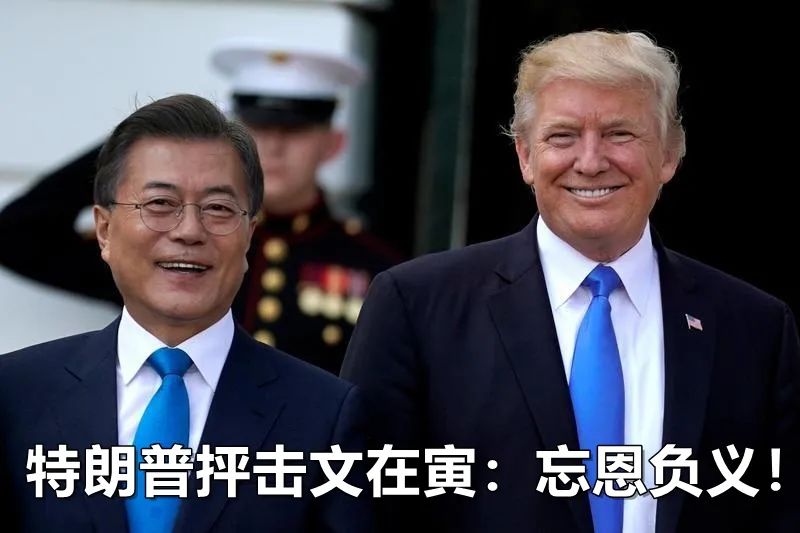 蜈蚣就这么瞬间被河豚吃了