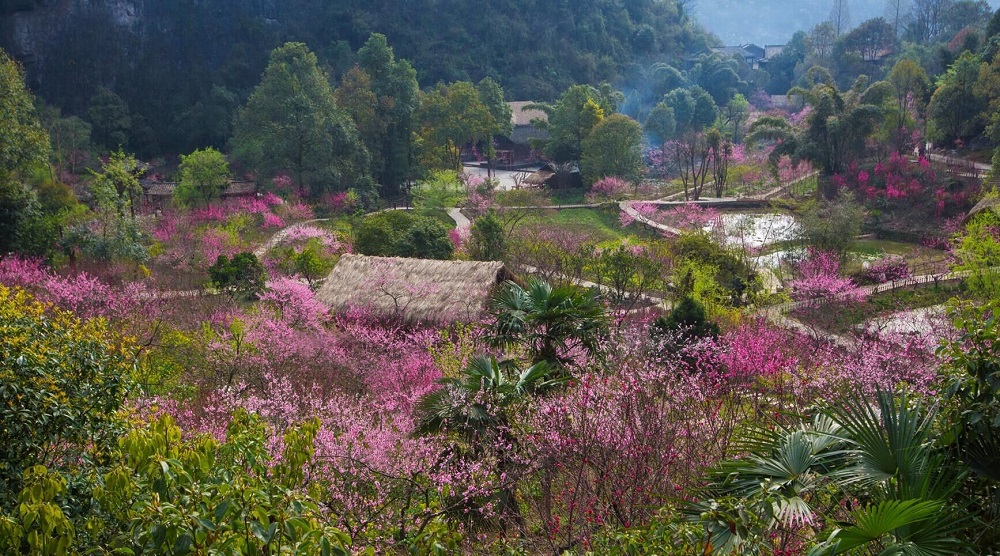 桃花源全景(央广网发 重庆高速集团东南营运分公司供图)