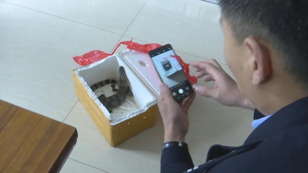 【法治热点早知道】男子在网吧被人下药，警方通过监控锁定嫌疑人，其下药目的令人不齿！休闲区蓝鸢梦想 - Www.slyday.coM