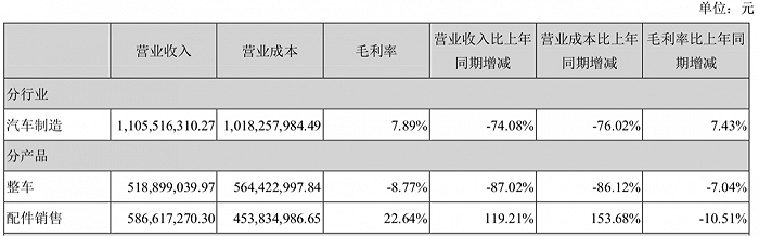 图片来源：ST海马2020年年报