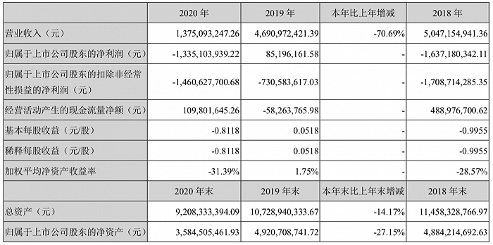 图片来源：ST海马2020年年报