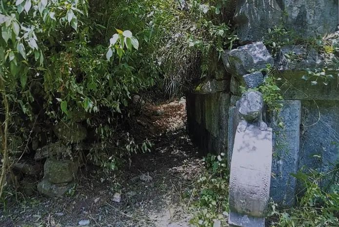 5名"摸金校尉",到贵州"寻宝",盗走10斤古钱币|贵州|古墓|摸金校尉