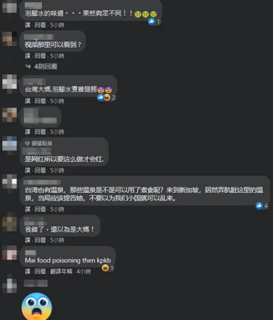 新加坡网友在脸书留言骂安琪儿。图自台媒