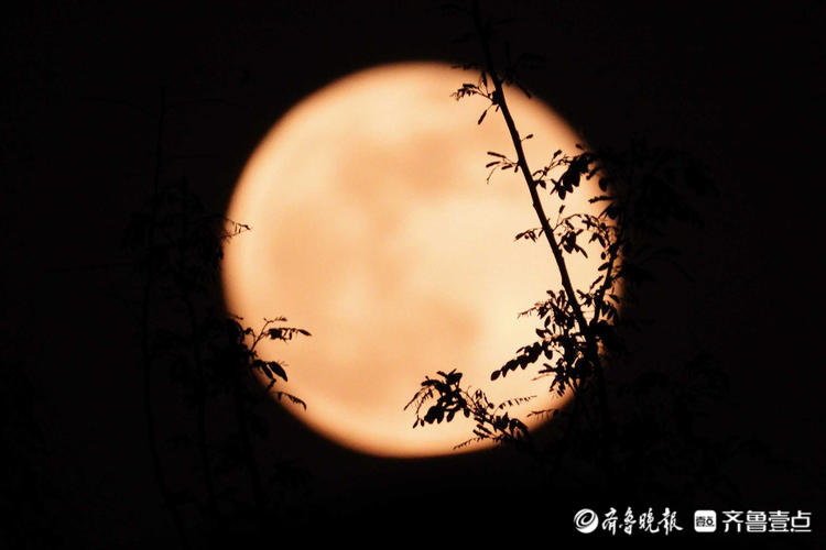 情报站今年首次超级月亮来啦皓月当空壹粉邀你云追月