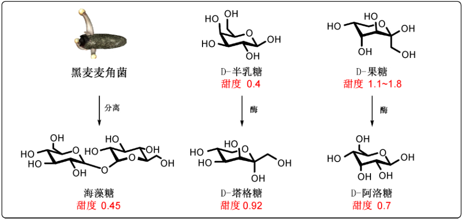 人们喜欢糖的甜味,可甜度最高的竟然不是糖?丨味觉化学