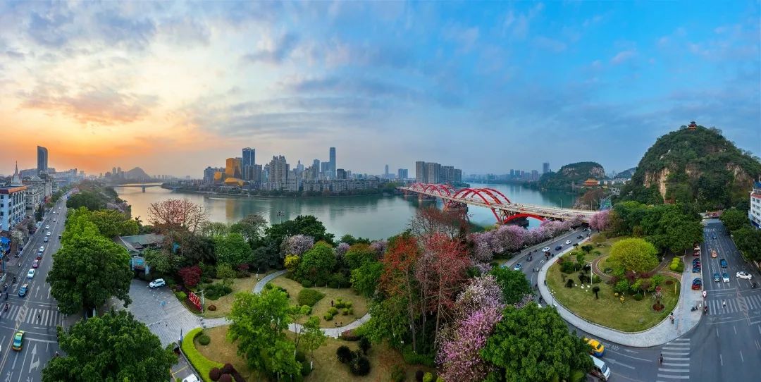 紫荆花城醉美柳州东风风行抖音摄影大赛圆满收官获奖名单公布