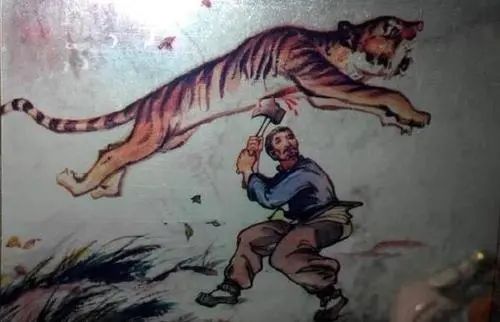 村里来了东北虎,我的祖传滑铲绝技要派上用场了?|老虎_新浪新闻