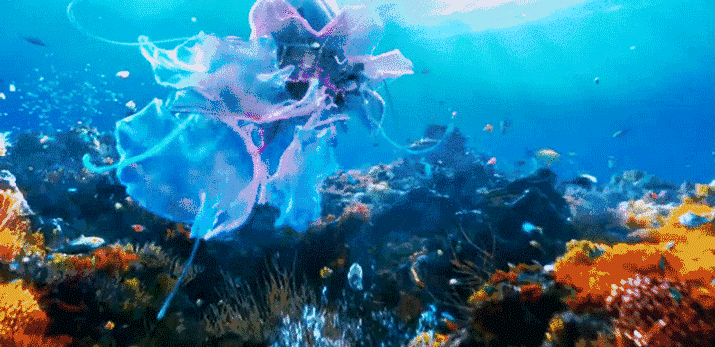 一同构成五光十色的"海底世界"与梦幻的水母,各类珊瑚海藻色彩斑斓的