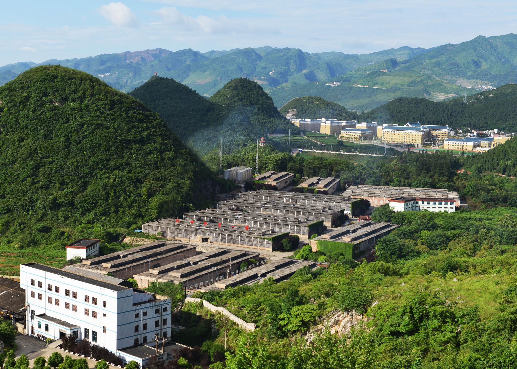 朱伟:贵州醇学茅台,这是白酒行业未来十年的大事件