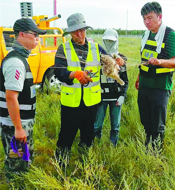 机场驱鸟人十八般武艺斗鸟