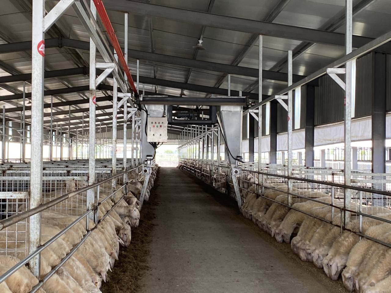 南浔区千金镇:"数字"养羊 带动共同致富