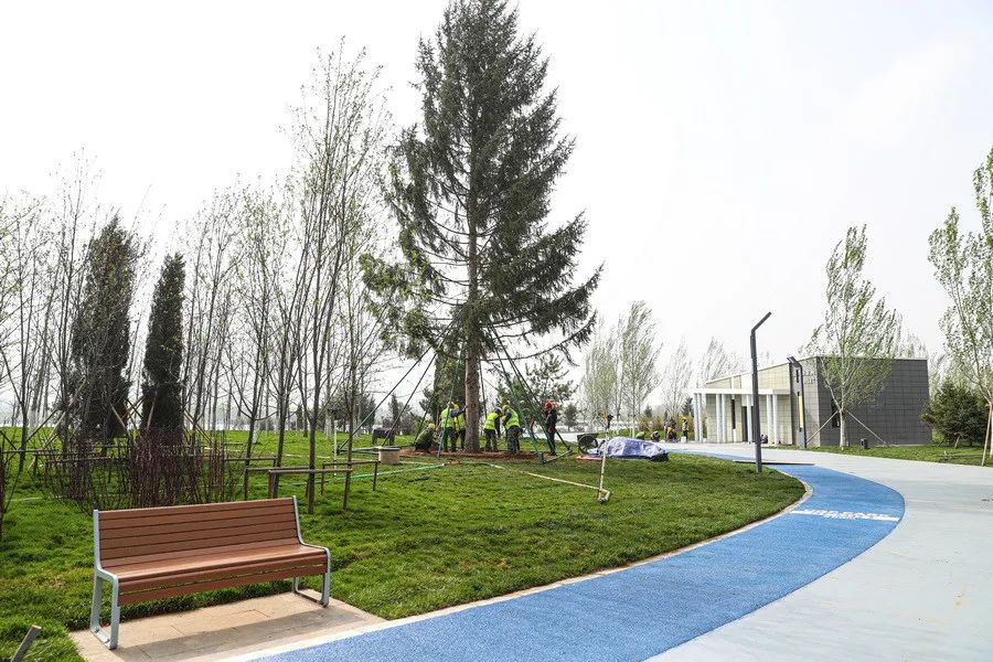 3万平方米生态型公园中德公园公园定位为城市级生态公园东西宽521米