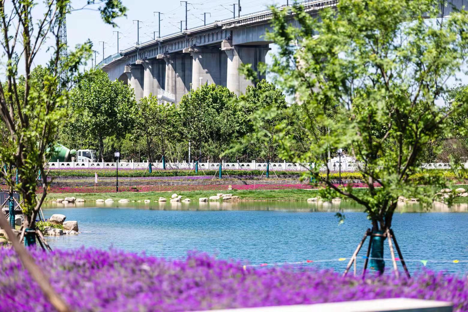 南京明外郭秦淮新河百里风光带新添一免费公园