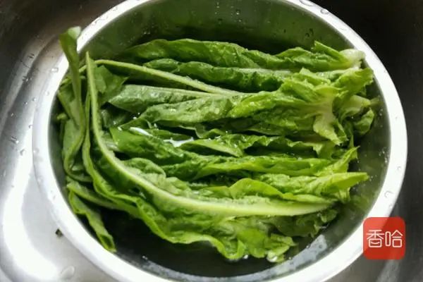 叶今日哈妹就分享友友们一道快手美味的辣炒莴笋叶的做法,厨房小白也